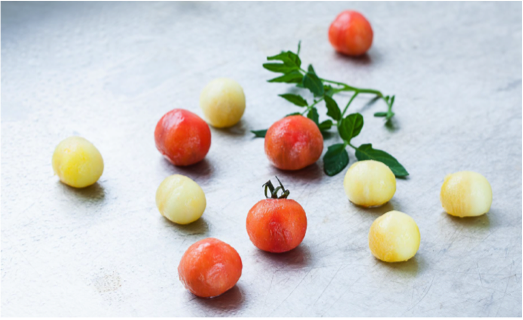 Tomater calcificeret med natron og calciumchlorid og fyldt med forskellige aromatiske tomatsaucer. (Foto: Jonas Drotner Mouritsen)