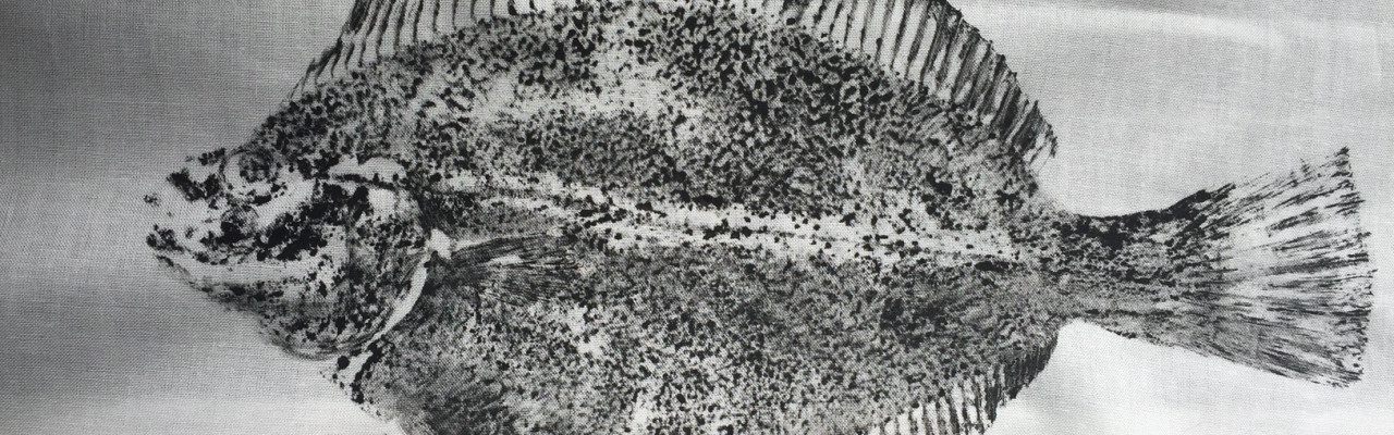 Rikke Højer har brugt japansk fisketryk - gyotaku - i sin forskning med skoleelever. Foto: Rikke Højer Nielsen.