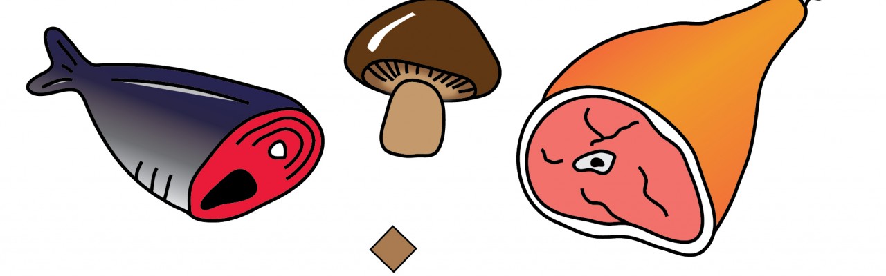 Forskellige kider til umami. Grafik: Morten Christensen Forskellige kider til umami. Grafik: Morten Christensen
