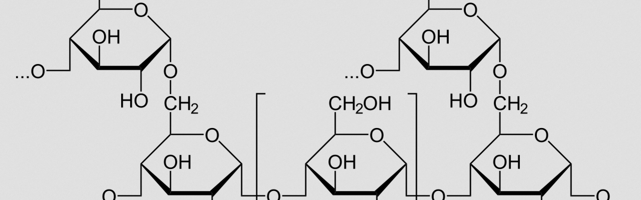 Glykogen