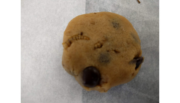 Melormene er tydelige i en cookie. Ville du spise den?