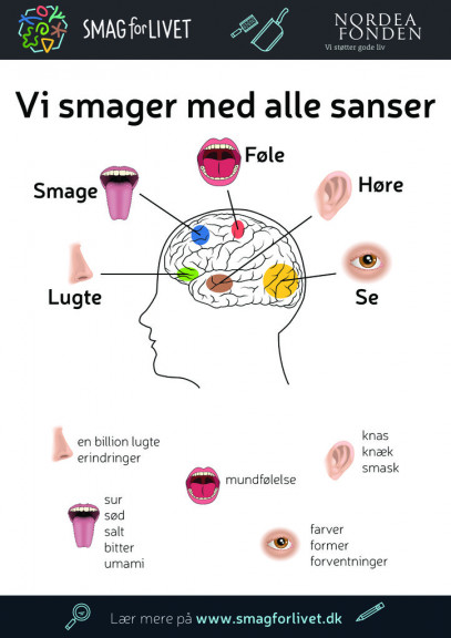 Vi smager med alle sanser